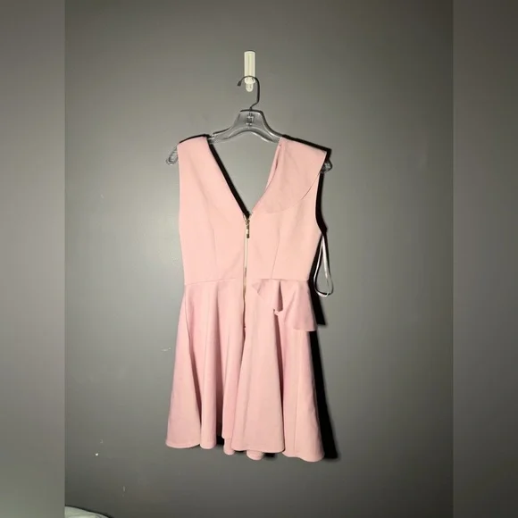 Ted Baker London Lantaa Ruffle Detail Skater Dress Size 6 - Picture 3 of 5